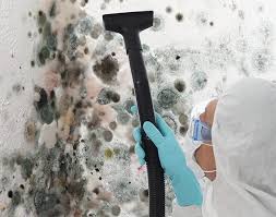 Best Mold Odor Removal Services  in Gettysburg, PA